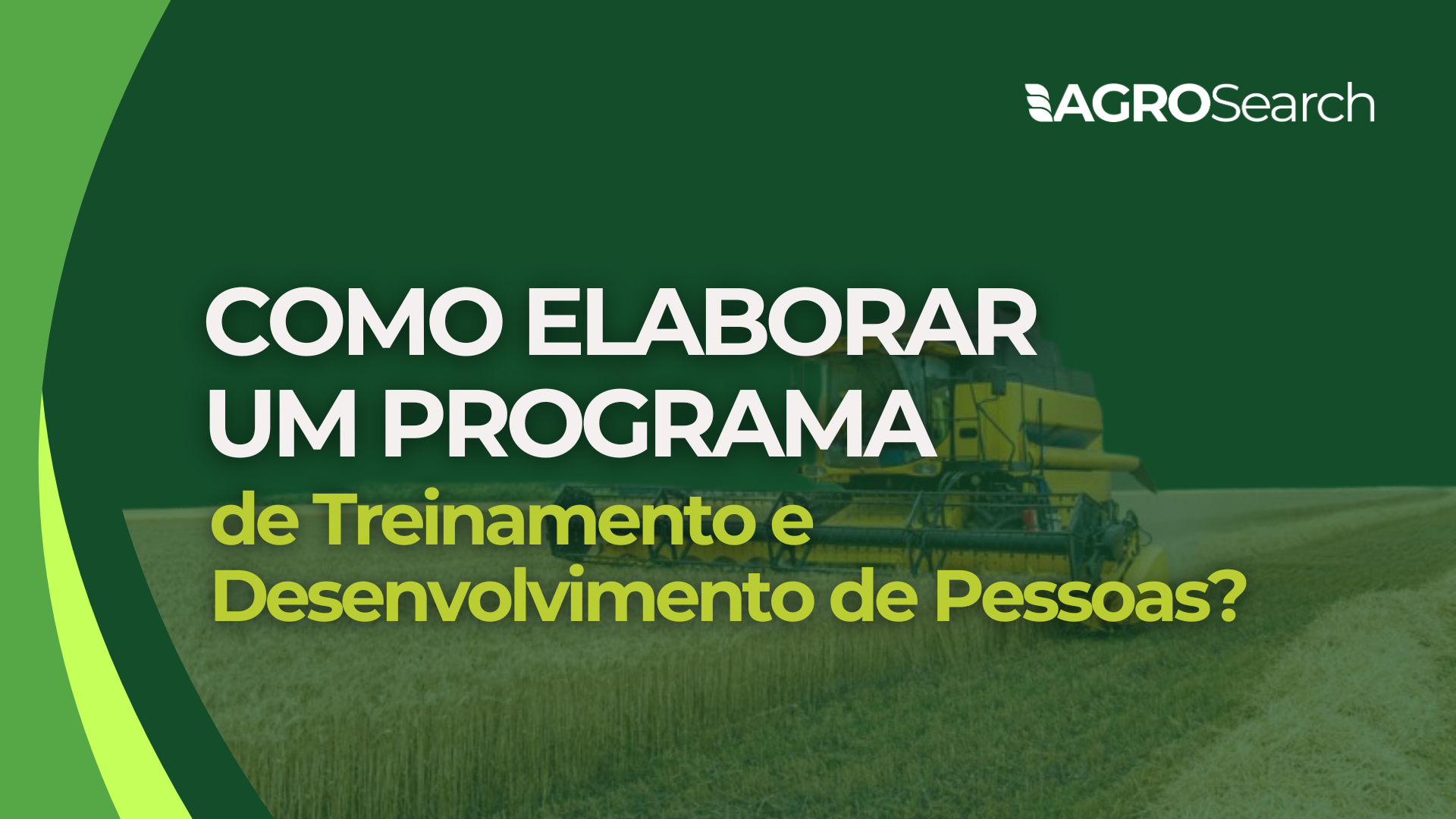 Como Elaborar um Programa de Treinamento e Desenvolvimento de Pessoas?