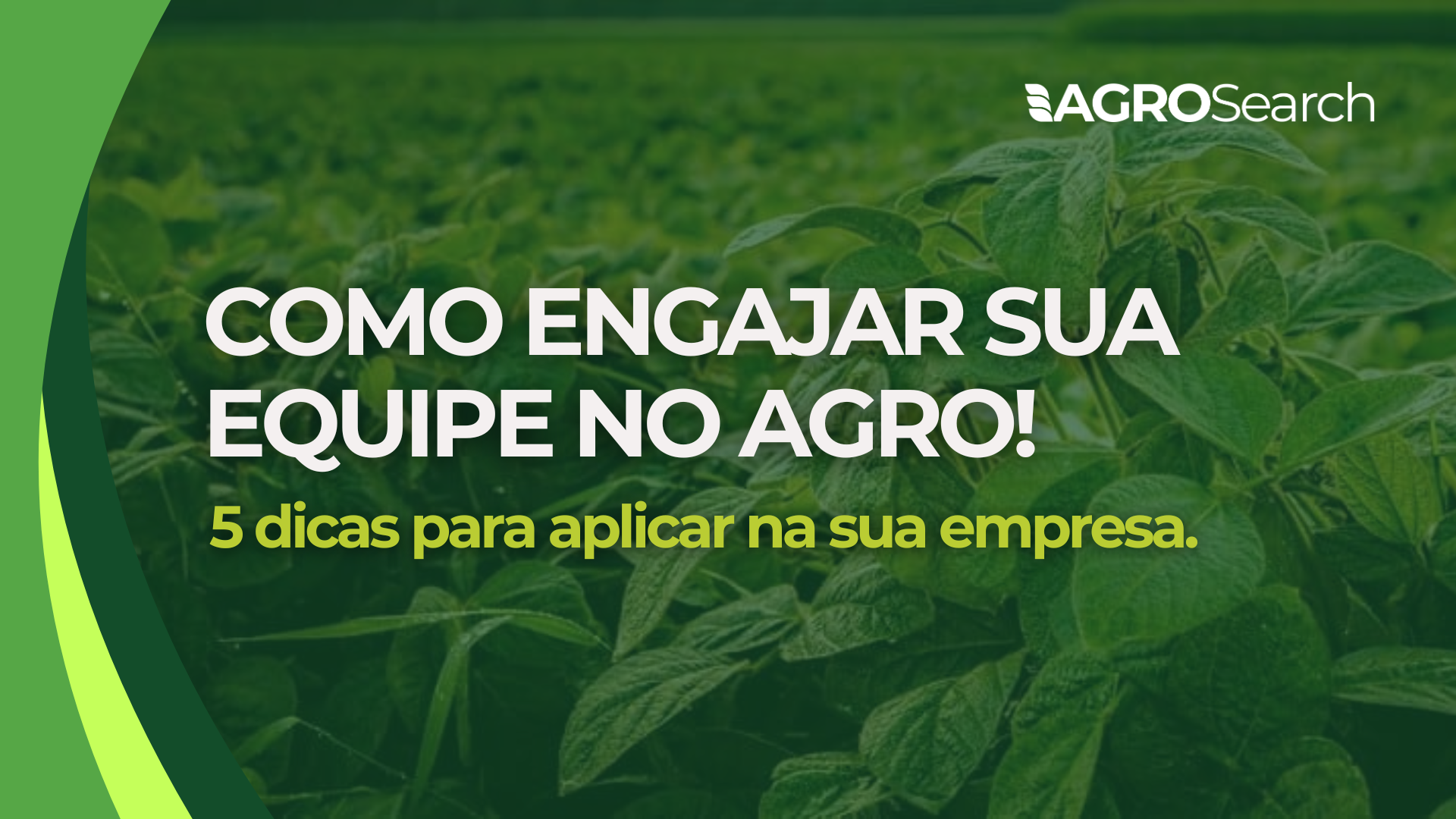 Como Engajar sua Equipe no AGRO!