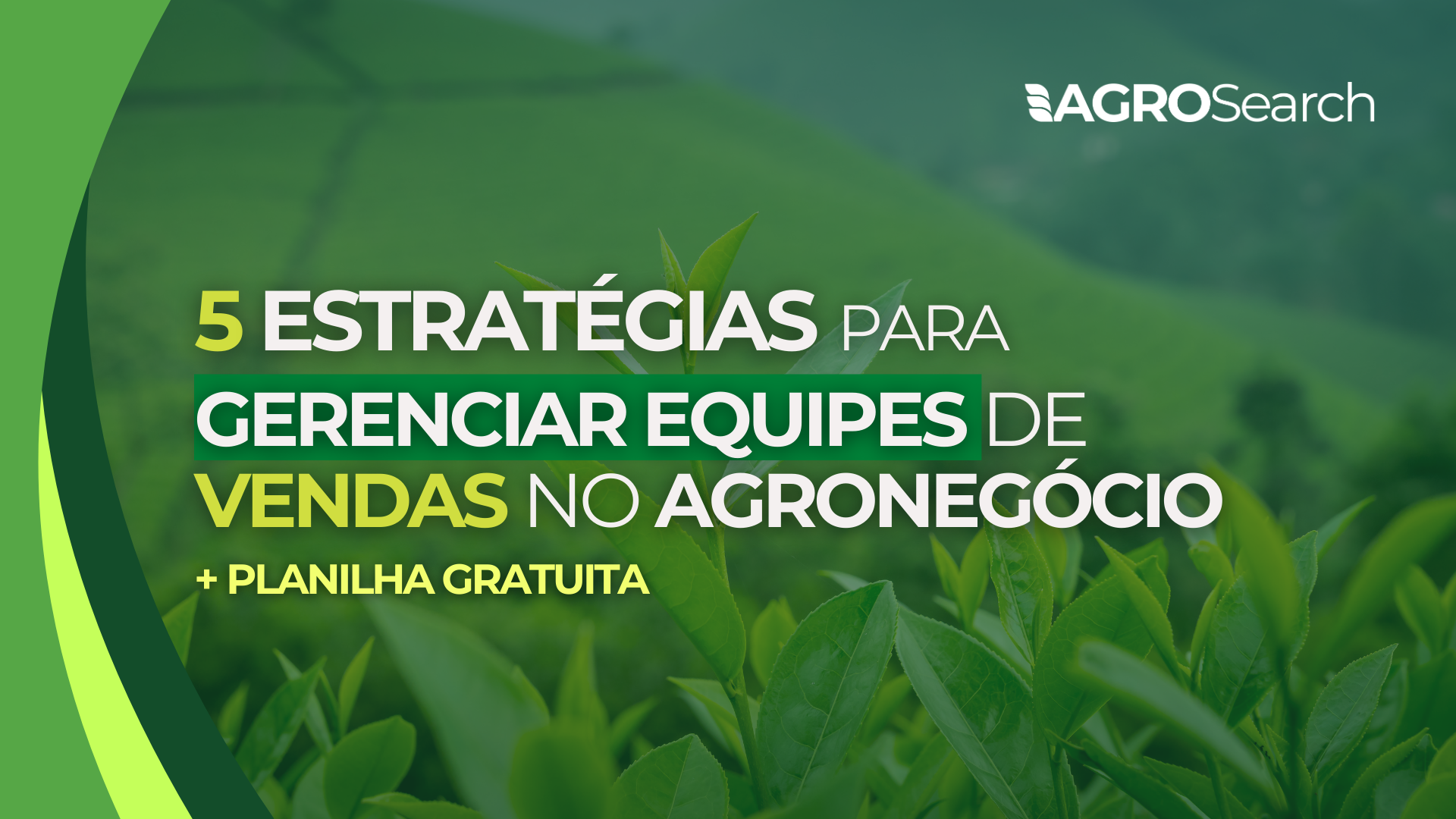 5 Estratégias para Gerenciar Equipes de Vendas no Agronegócio