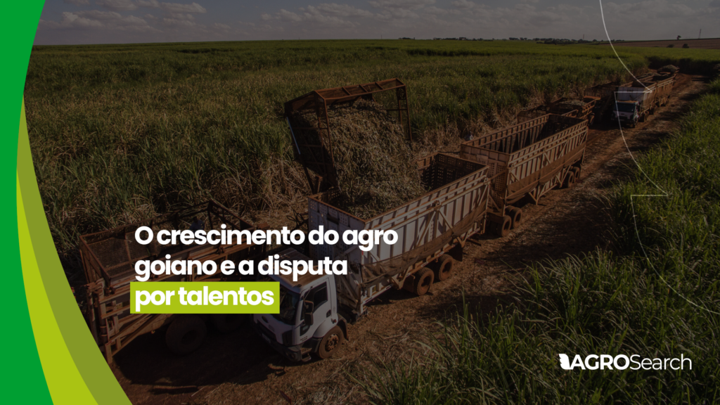 O crescimento do agro goiano e a disputa por talentos