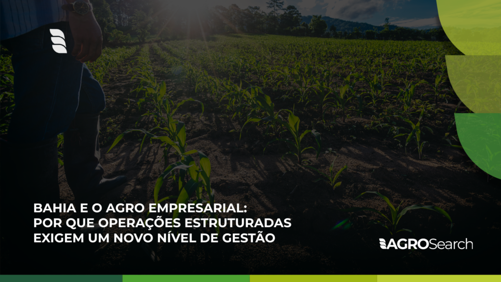 Bahia e o agro empresarial: por que operações estruturadas exigem um novo nível de gestão