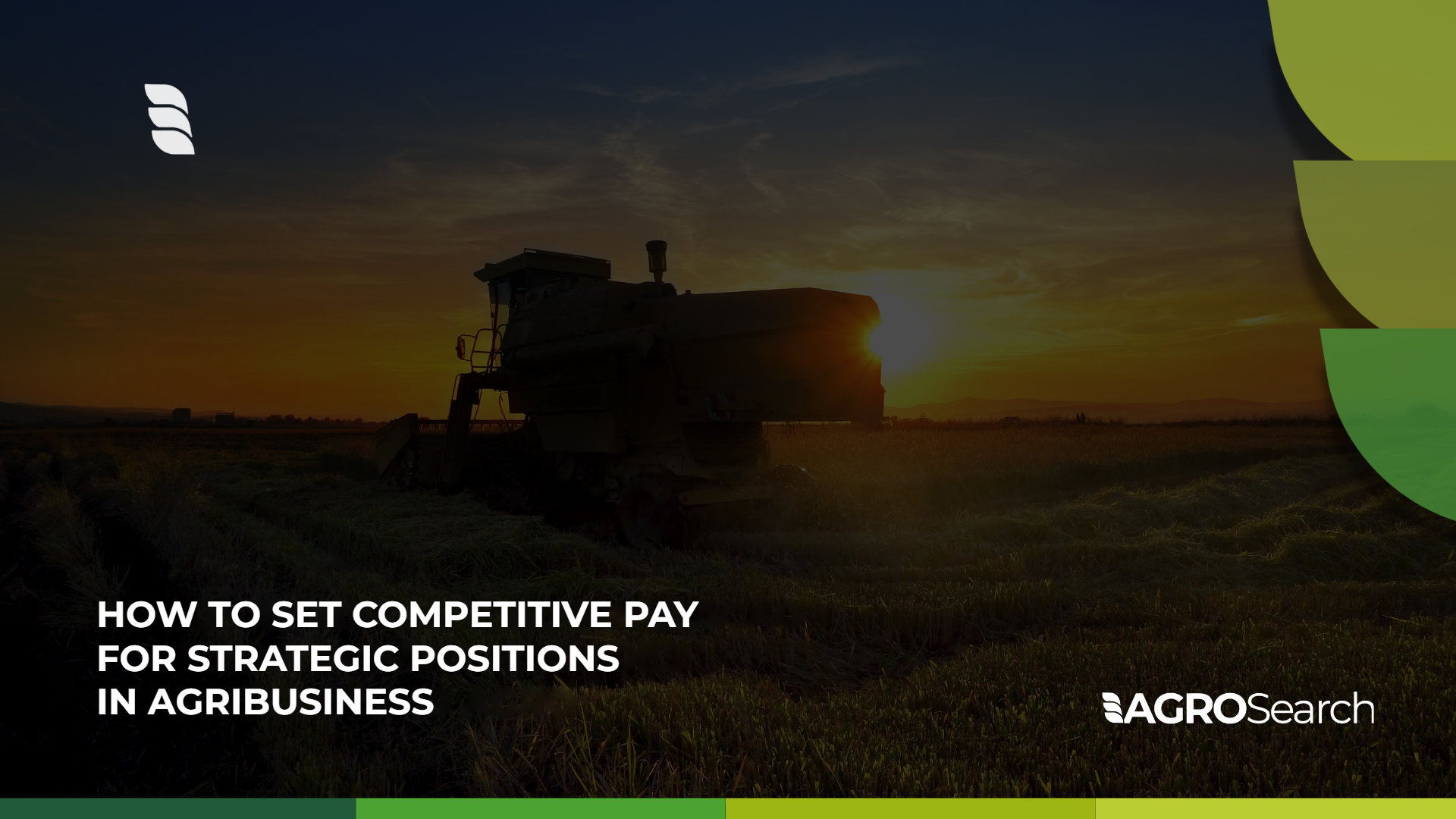 How to set competitive pay for strategic positions in agribusiness