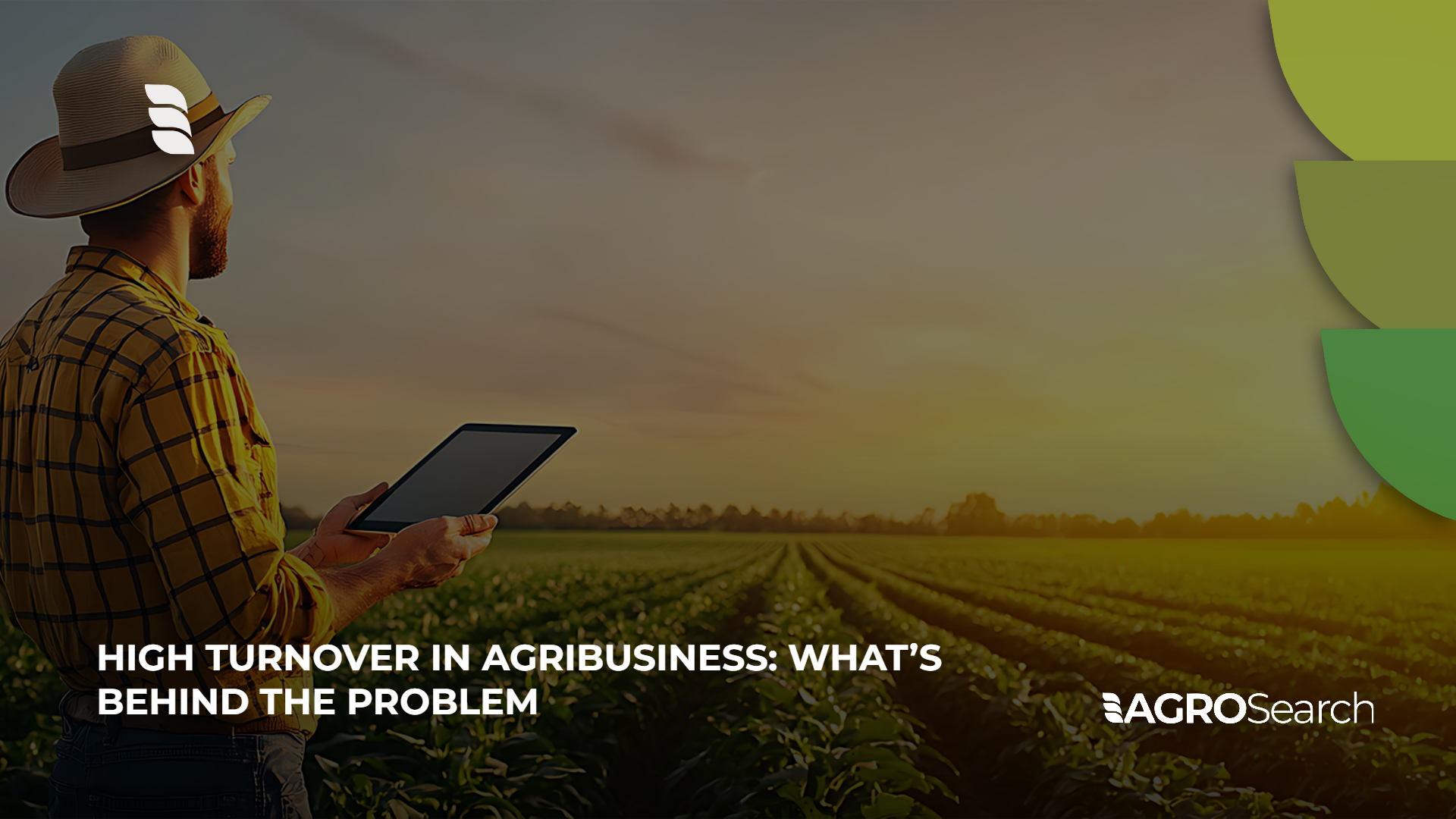 High Turnover in Agribusiness: What’s Behind the Problem