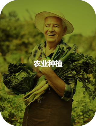 农业种植