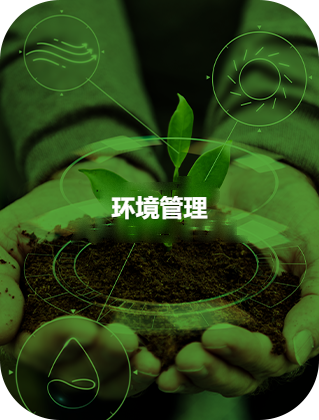 环境管理