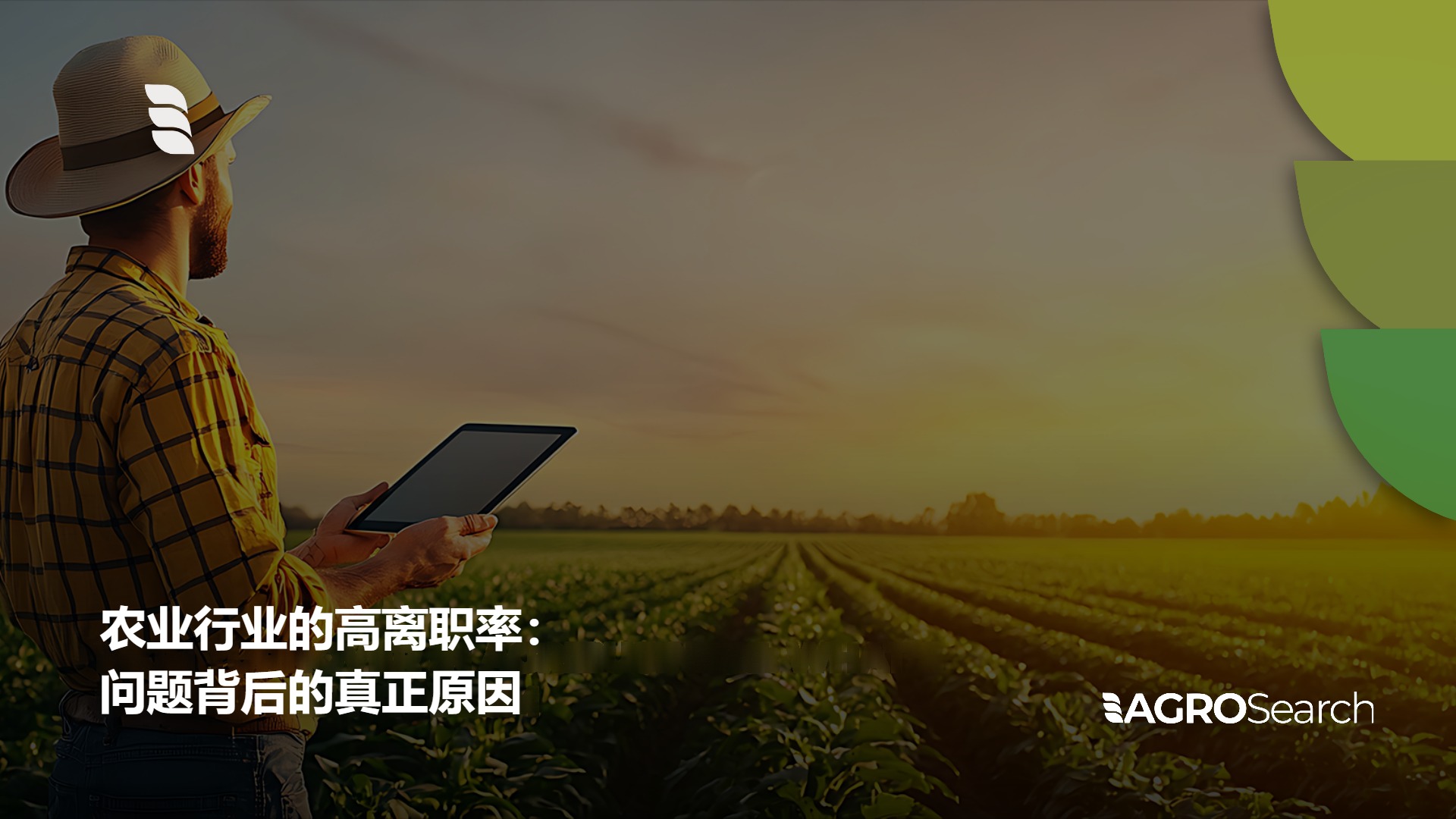 AGROSearch 博客封面