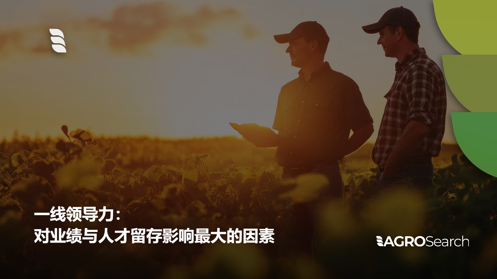 AGROSearch 博客封面