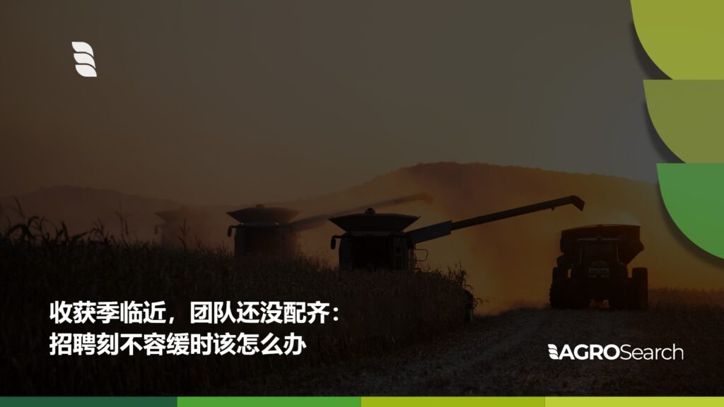收获季临近，团队还没配齐：招聘刻不容缓时该怎么办